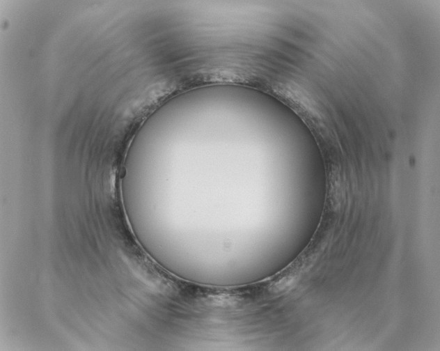 X0000087380310200705041952