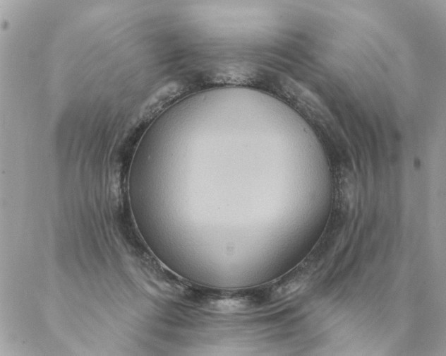 X0000087380312200705041952