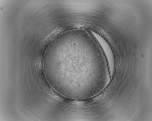 X0000087380313200705041952