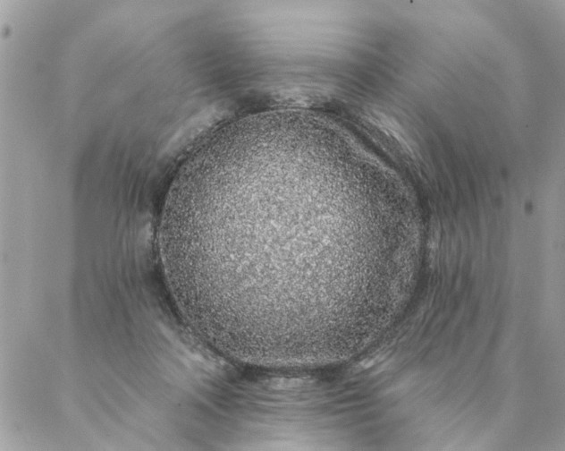 X0000087380314200705041952