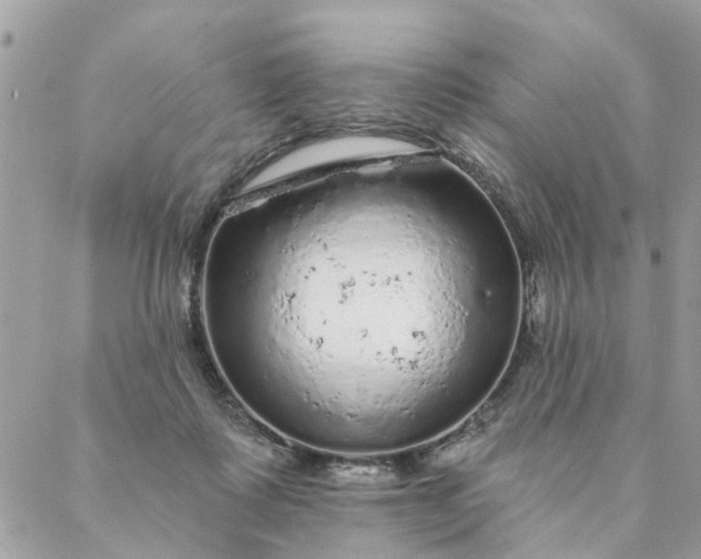 X0000087380315200705041952