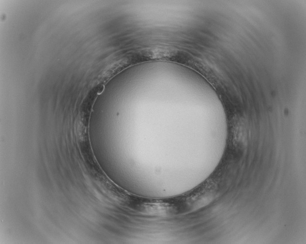 X0000087380316200705041952