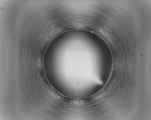 X0000087380317200705041952