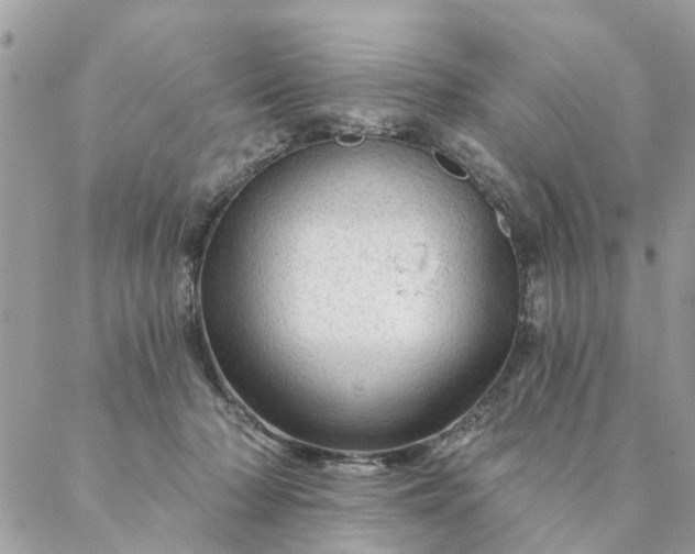 X0000087380318200705041952