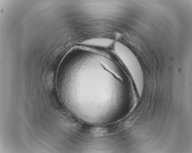 X0000087380319200705041952