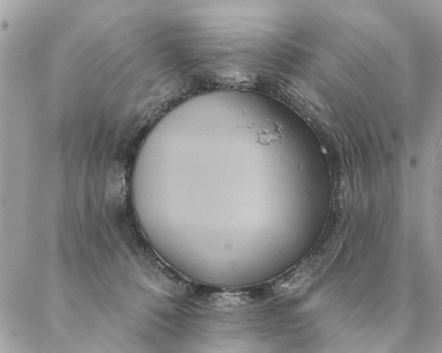 X0000087380320200705041952