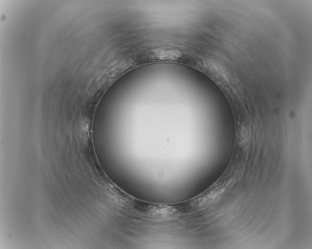 X0000087380321200705041952