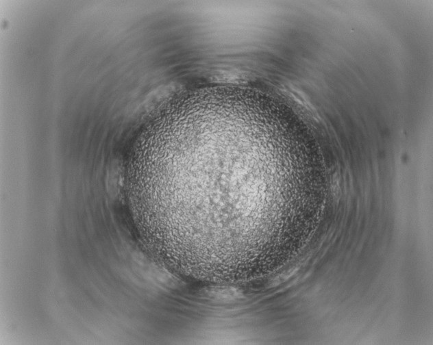 X0000087380322200705041952