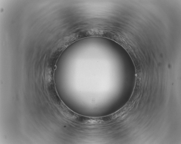 X0000087380323200705041952