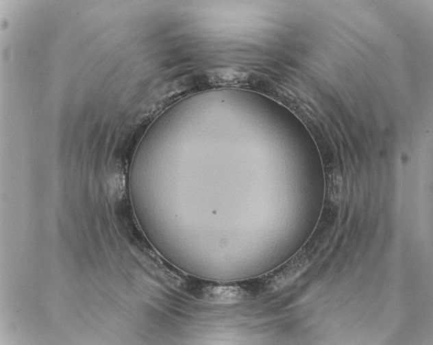 X0000087380324200705041952