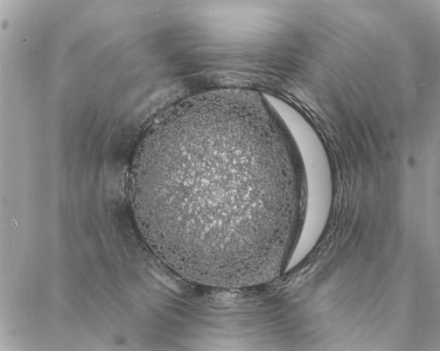 X0000087380325200705041952