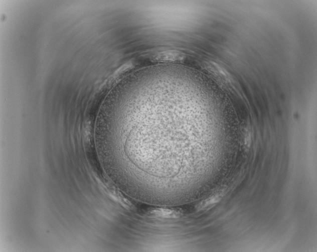 X0000087380326200705041952