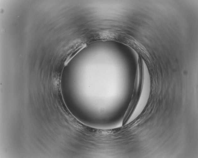 X0000087380329200705041951