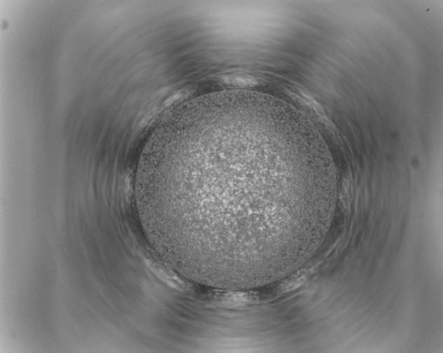 X0000087380330200705041951