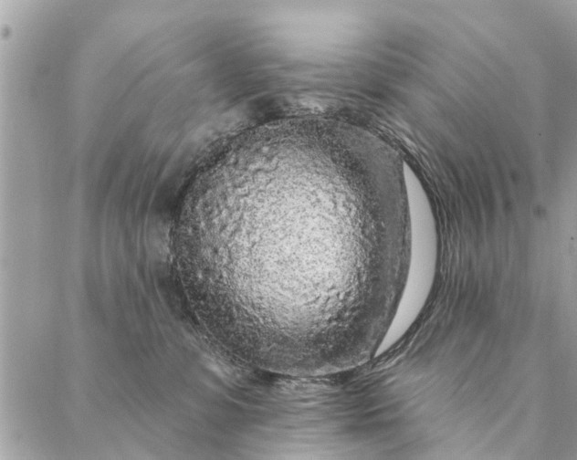 X0000087380331200705041951