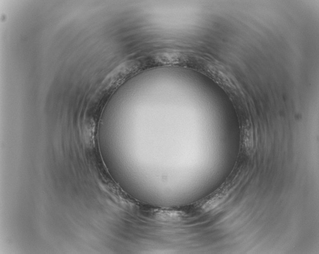 X0000087380332200705041951