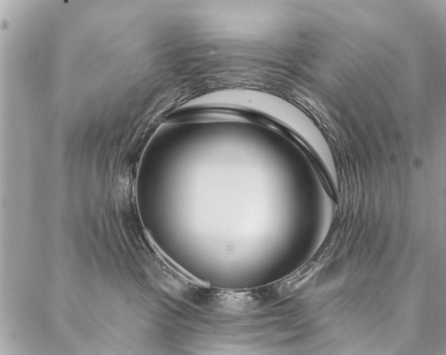 X0000087380333200705041951