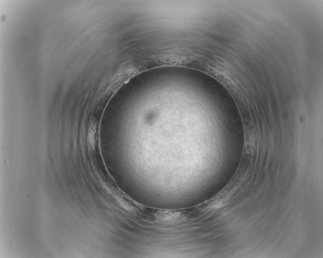 X0000087380334200705041951