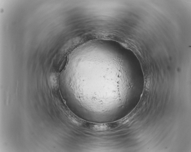 X0000087380335200705041951