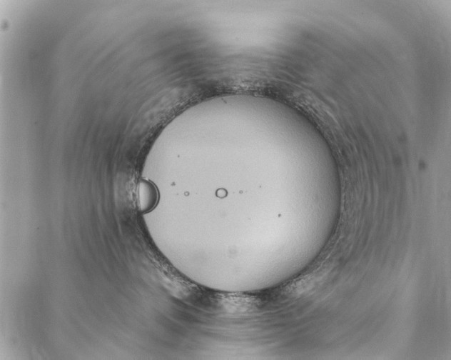 X0000087380336200705041951