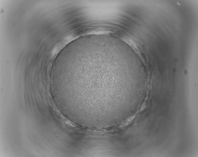 X0000087380337200705041951