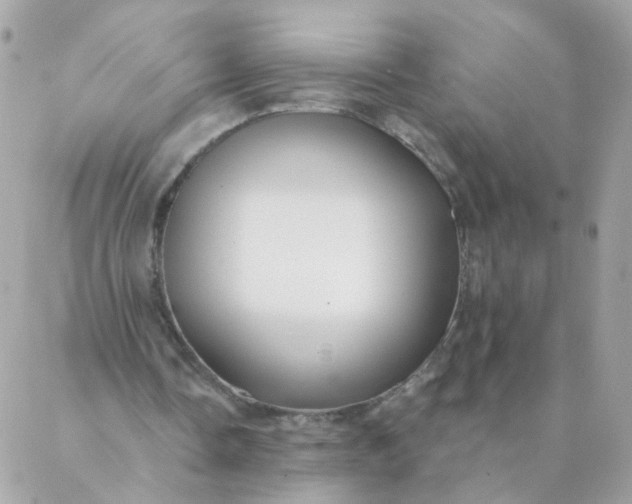 X0000087380338200705041951