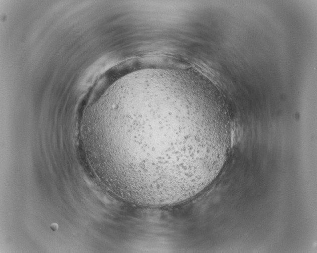 X0000087380339200705041951