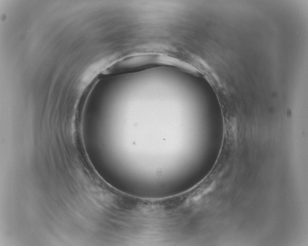 X0000087380340200705041951