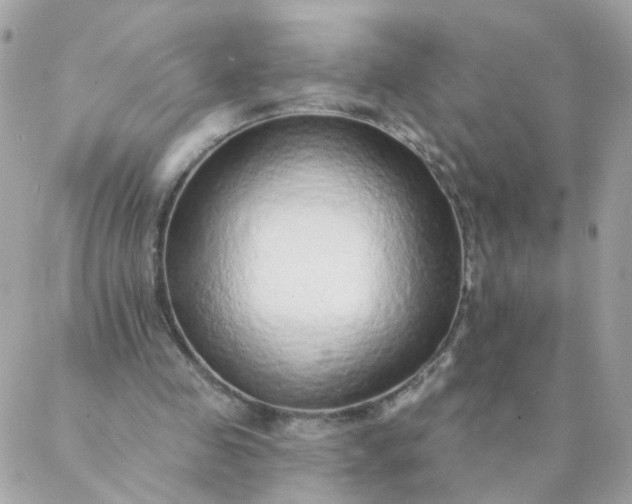 X0000087380341200705041951