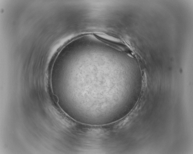 X0000087380342200705041951