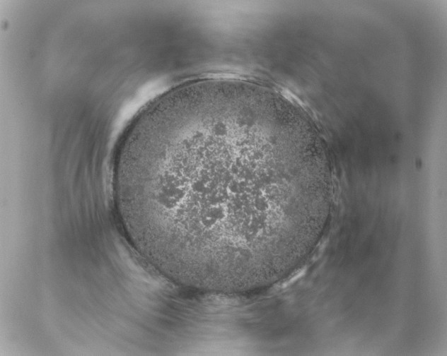 X0000087380343200705041951