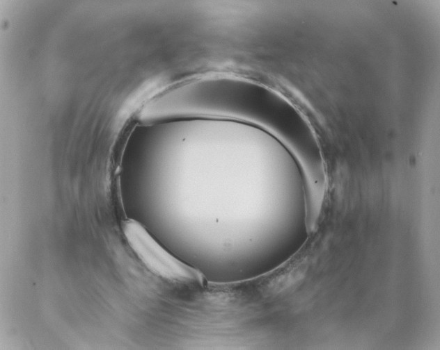 X0000087380344200705041951