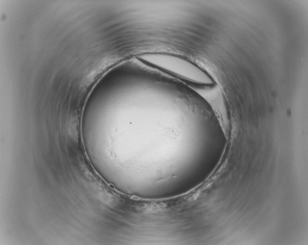 X0000087380345200705041951