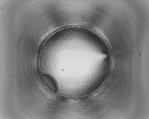 X0000087380346200705041951