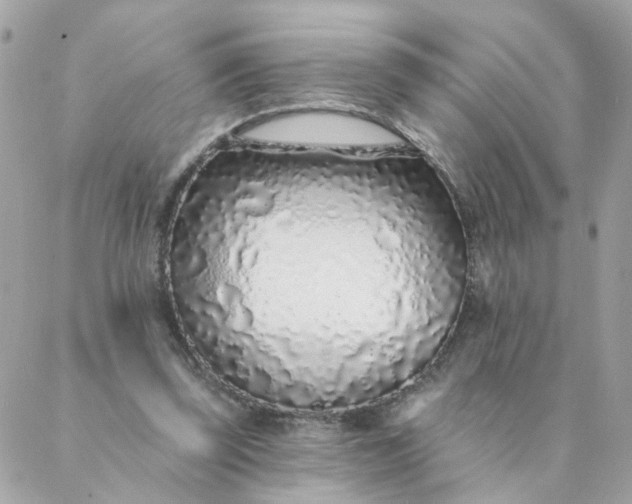 X0000087380347200705041951