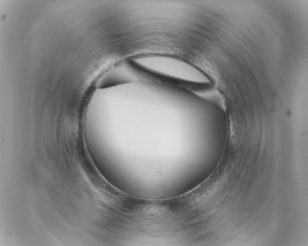 X0000087380348200705041951