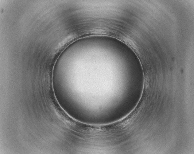 X0000087380349200705041951