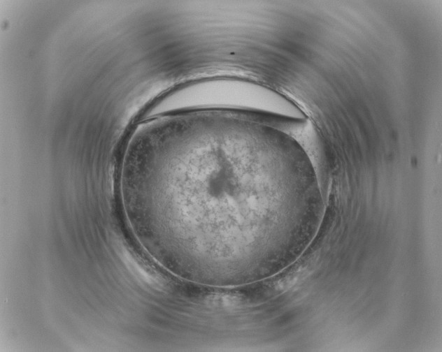 X0000087380350200705041951