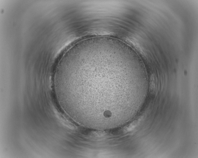 X0000087380351200705041951