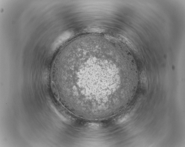 X0000087380352200705041951