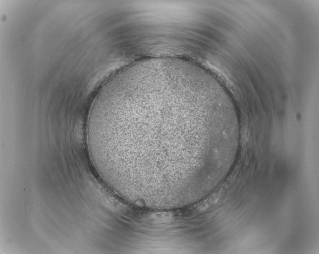 X0000087380353200705041951