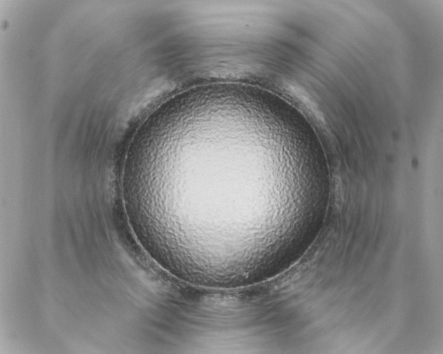 X0000087380354200705041951