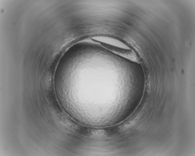 X0000087380355200705041951