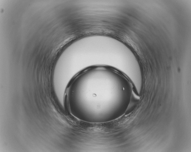 X0000087380356200705041951