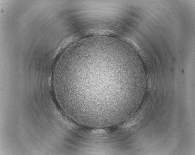 X0000087380357200705041951