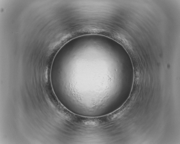 X0000087380358200705041951