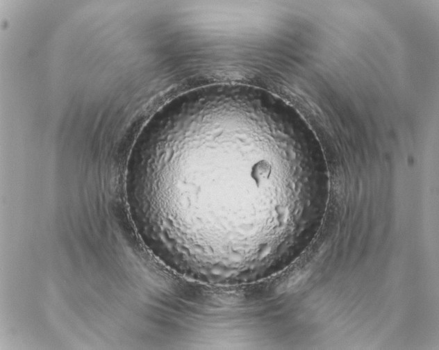 X0000087380359200705041951