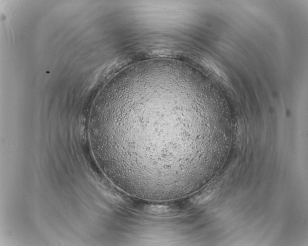 X0000087380361200705041951