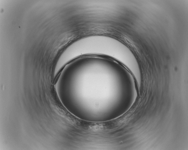 X0000087380362200705041951