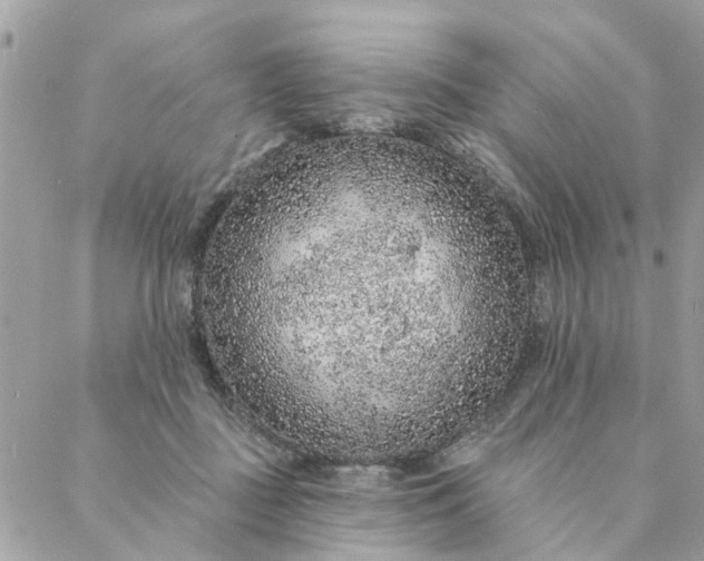 X0000087380363200705041951